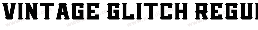 Vintage Glitch Regul字体转换